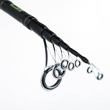 Travel Fishing Rod