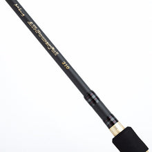 Travel Fishing Rod