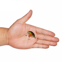 Mini Crank